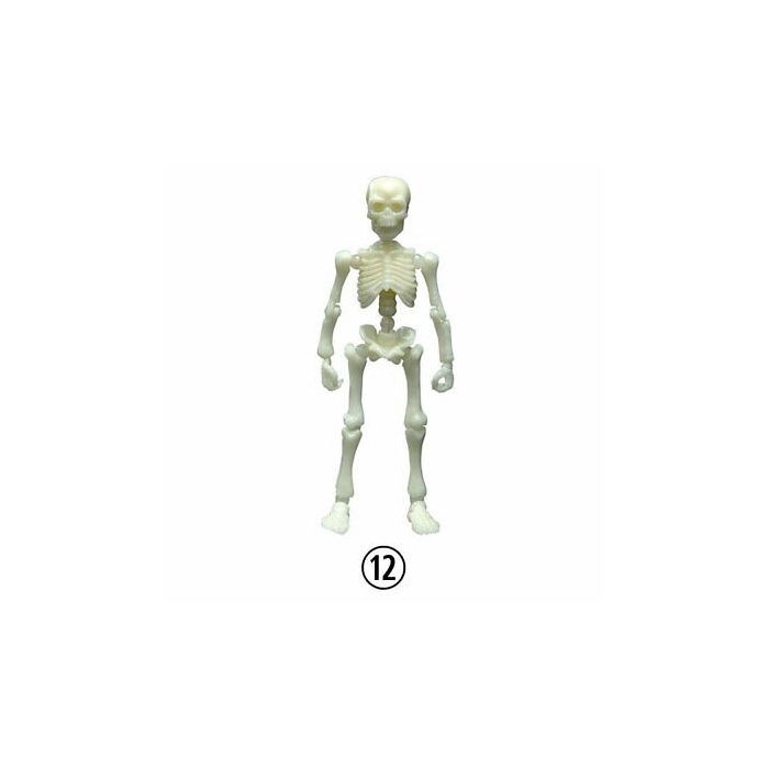 Amazon.com: Wtosuhe Realistic Skull Skeleton Human Model, 3.54 Inches  Movable Skeleton Human Model Skull Full Body Mini Figure Toy for Halloween  Decorations Gifts : Toys & Games